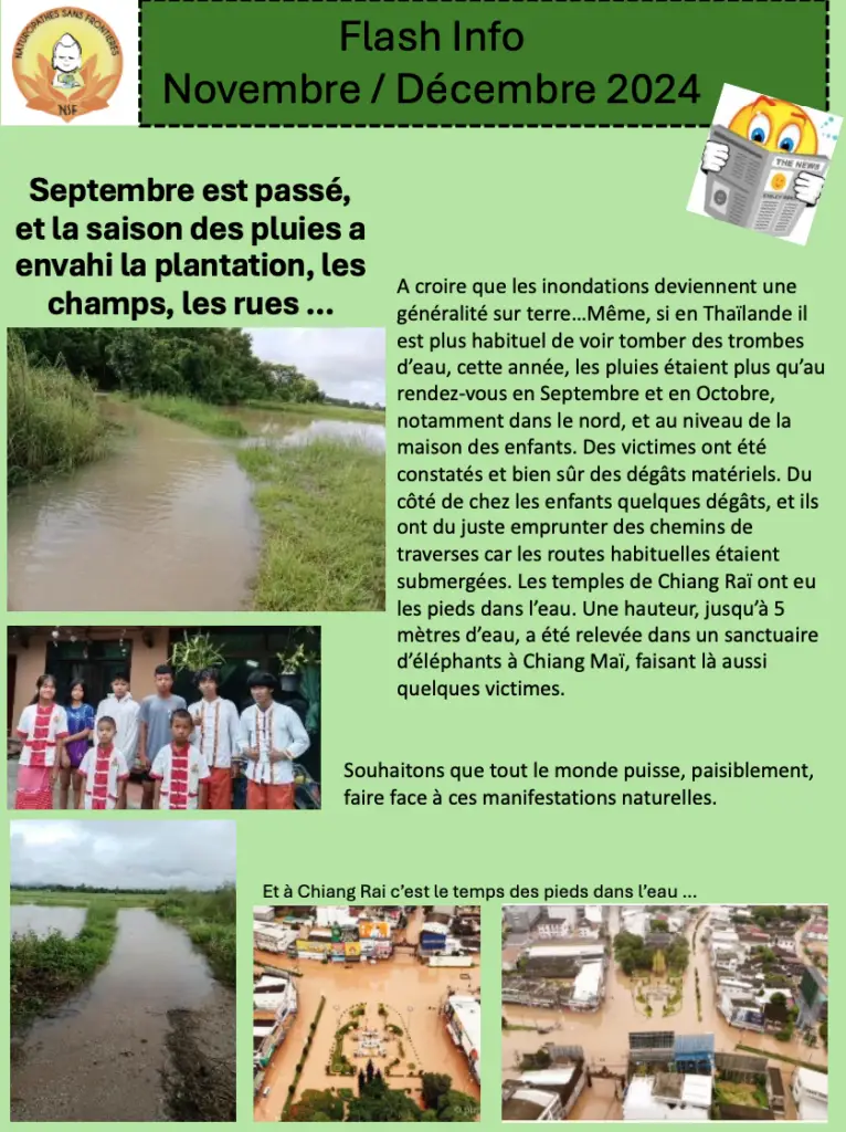 NSF - Newsletter Nov-Déc 2024
