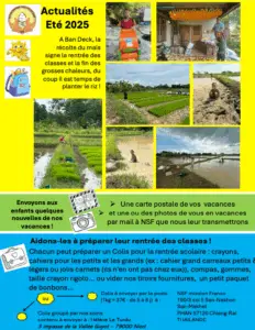 Newsletter NSF été 2025