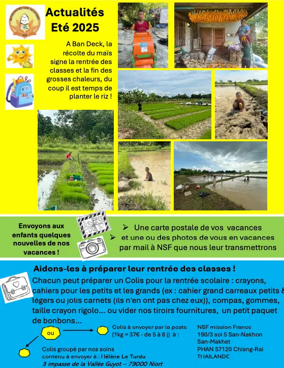 Newsletter NSF été 2025